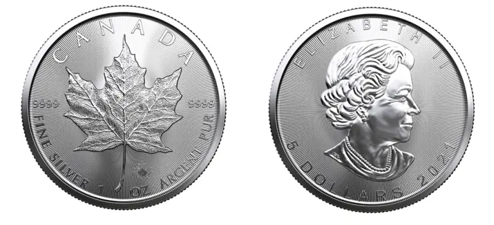 Maple leaf moneda de plata